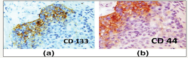 Click here to view Large image 4