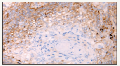 Click here to view Large image 5