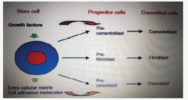 Click here to view Large image 1
