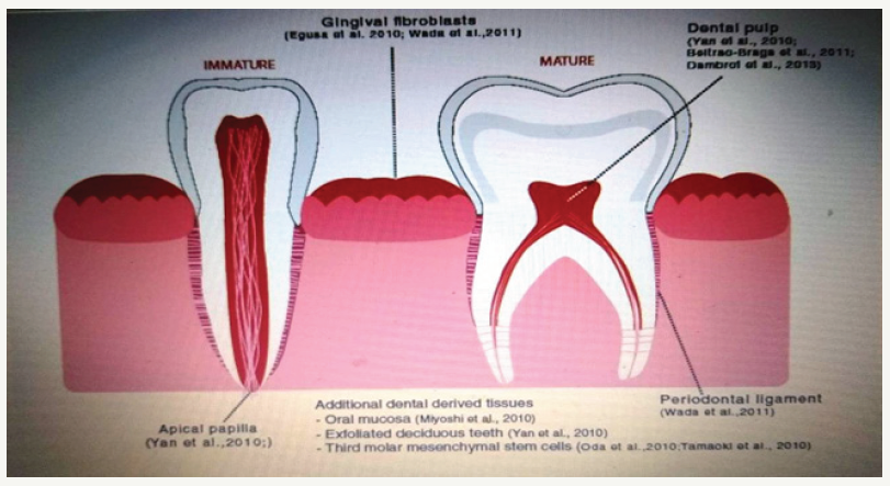 Click here to view Large image 4