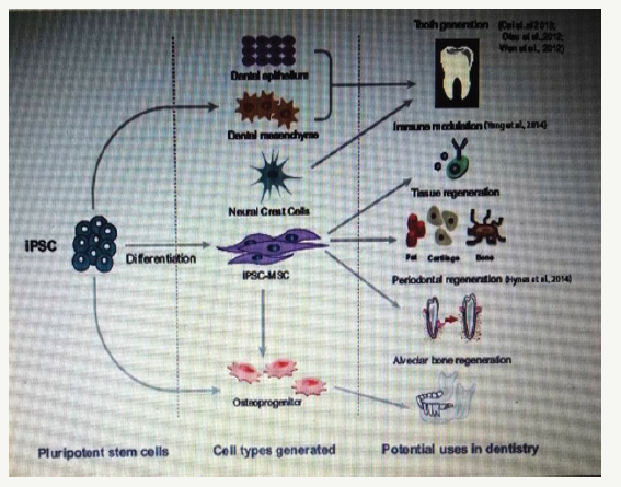 Click here to view Large image 5