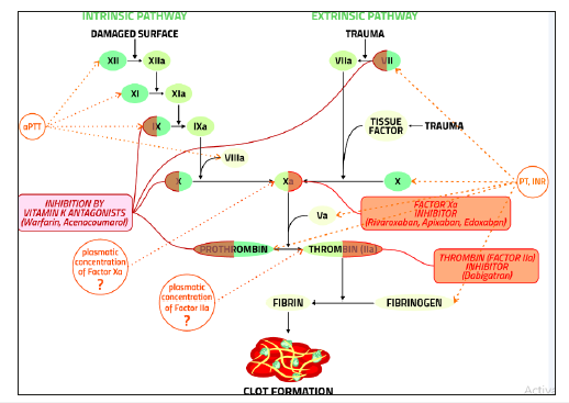Click here to view Large image 1