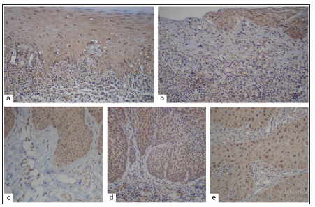 Click here to view Large image 3