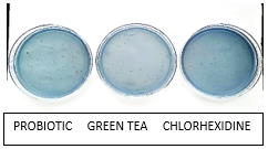 Click here to view Large image 4