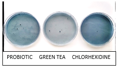 Click here to view Large image 5