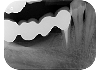 Click here to view Large image 13