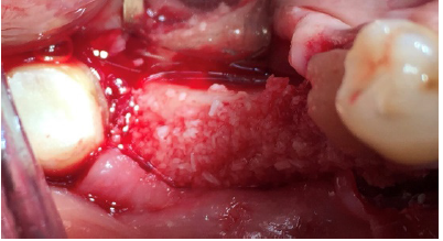 Click here to view Large image 5