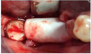 Click here to view Large image 6