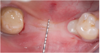 Click here to view Large image 7