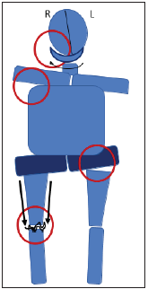 Click here to view Large image 8