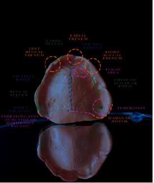 Click here to view Large image 4