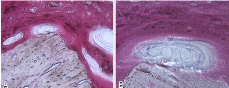 Click here to view Large image 11