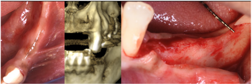 Click here to view Large image 16