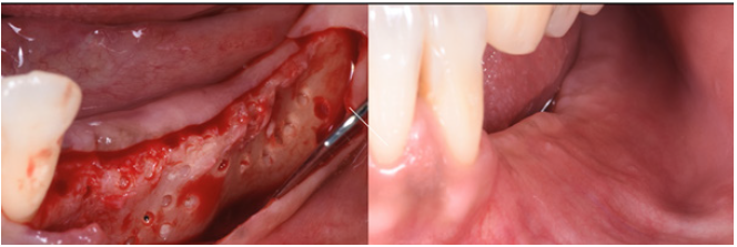 Click here to view Large image 20