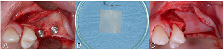 Click here to view Large image 3