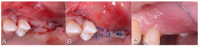 Click here to view Large image 6