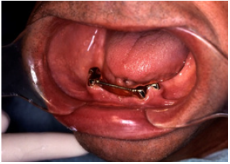 Click here to view Large image 10