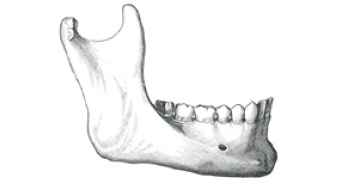 Click here to view Large image 5