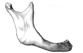 Click here to view Large image 6