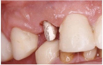 Click here to view Large image 19