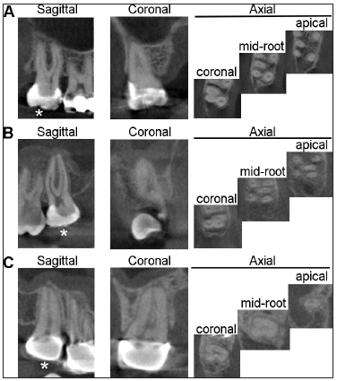 Click here to view Large image 1