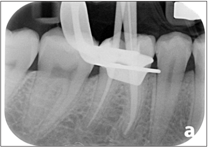 Click here to view Large image 9