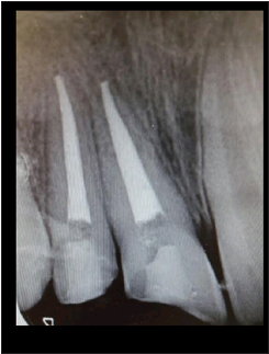 Click here to view Large image 2