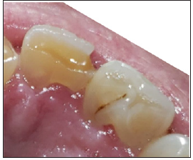 Click here to view Large image 5