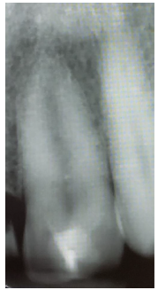 Click here to view Large image 6