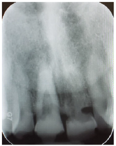 Click here to view Large image 7