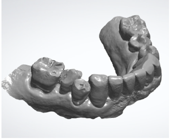 Click here to view Large image 4B