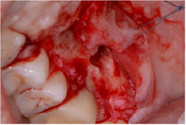 Click here to view Large image 4