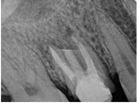 Click here to view Large image 5