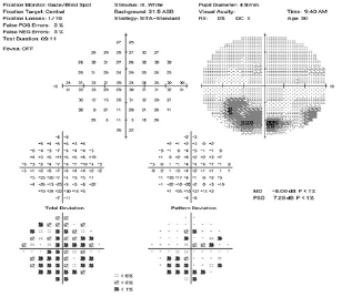 Click here to view Large Figure 1