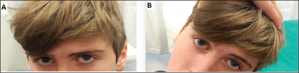 Click here to view Large Figure 1