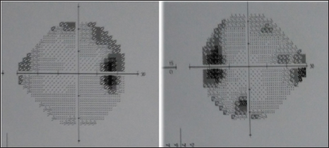 Click here to view Large Figure 3