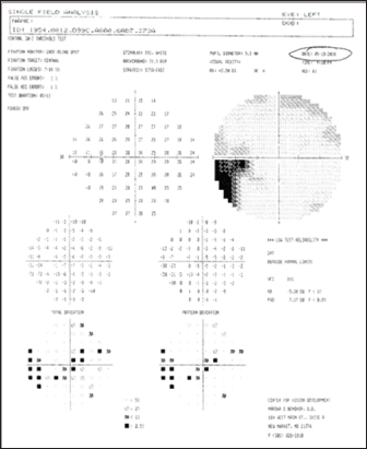 Click here to view Large Figure 4