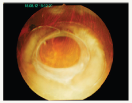 Click here to view Large image 2