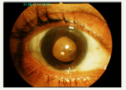 Click here to view Large image 5