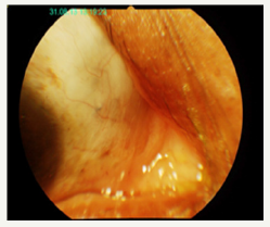 Click here to view Large image 7