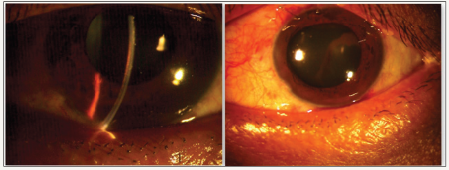 Click here to view Large image 1