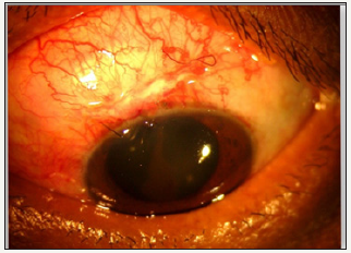 Click here to view Large image 5