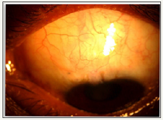 Click here to view Large image 6