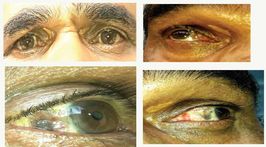 Click here to view Large image 1