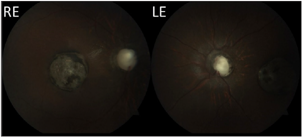 Click here to view Large image 1