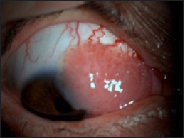 Click here to view Large image 2b