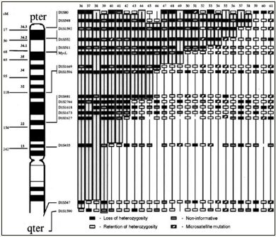 Click here to view Large image 10