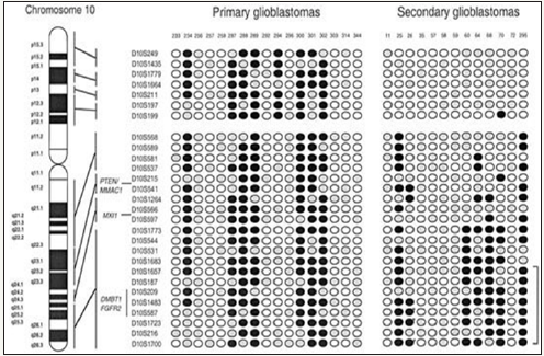 Click here to view Large image 8
