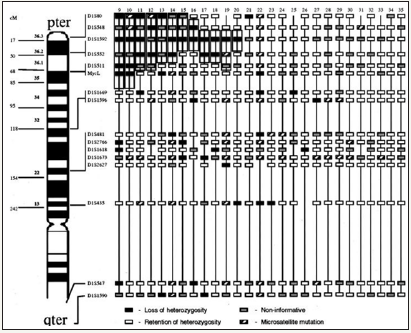 Click here to view Large image 9