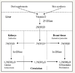 Click here to view Large image 2